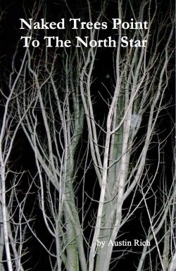 naked-trees1